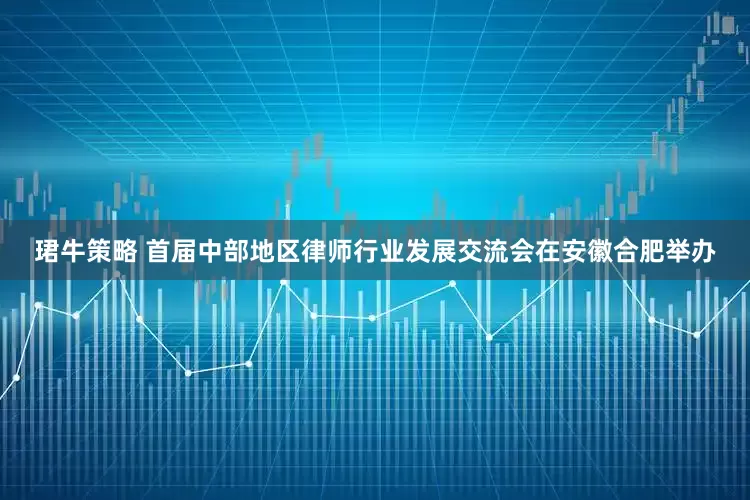 珺牛策略 首届中部地区律师行业发展交流会在安徽合肥举办